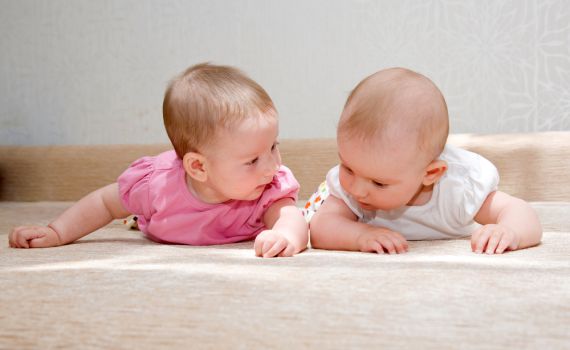 פיקוח הלכתי בתהליך פוריות: מונע טעויות אנוש