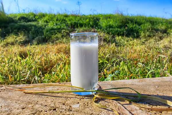 החיים עצמם: הדלק והחלב מתייקרים ביותר מ-3%