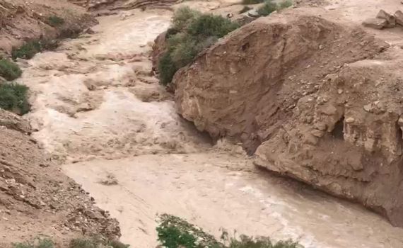 צפו בתיעוד: חילוץ דרמטי לרכבים שנתקעו בשיטפון