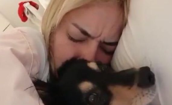 בלי להתכוון: הסרטון מהממ"ד שחורך את הרשת