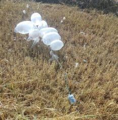 שקט מדומה: צרור בלוני תבערה אותר בישוב באשכול