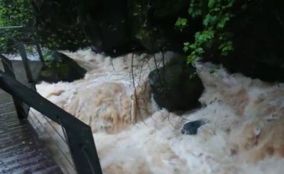 תיעוד מרהיב: זרימה אדירה בנחלי הצפון. צפו