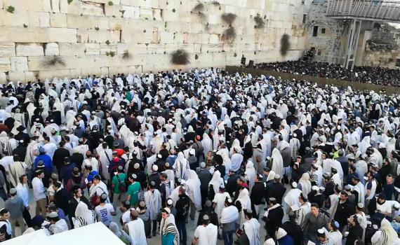 יש אבנים עם לב אדם