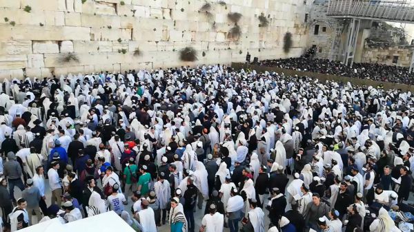 יש אבנים עם לב אדם