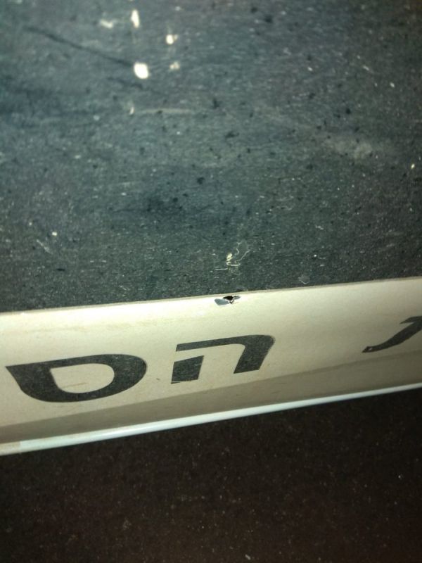 פיגוע ירי בכניסה לרחלים: אין נפגעים, נגרם נזק