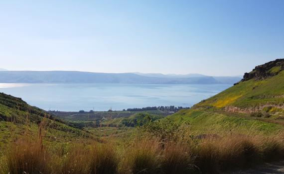 מדהים: בעקבות העלייה במפלס- האי שבכנרת נעלם