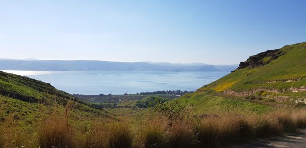 מדהים: בעקבות העלייה במפלס- האי שבכנרת נעלם