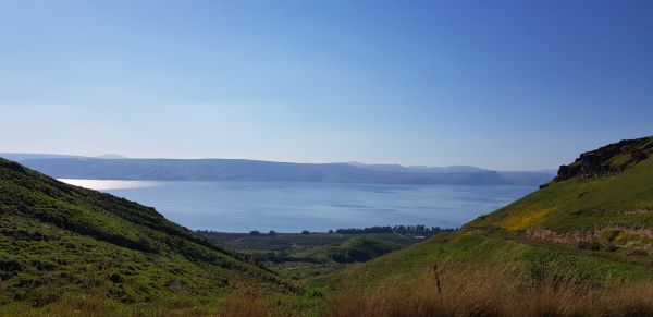 גם ללא גשם: מפלס הכנרת רושם עלייה נאה נוספת
