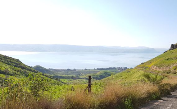 הגשם חזר ומפלס הכנרת רושם עוד נתון מדהים
