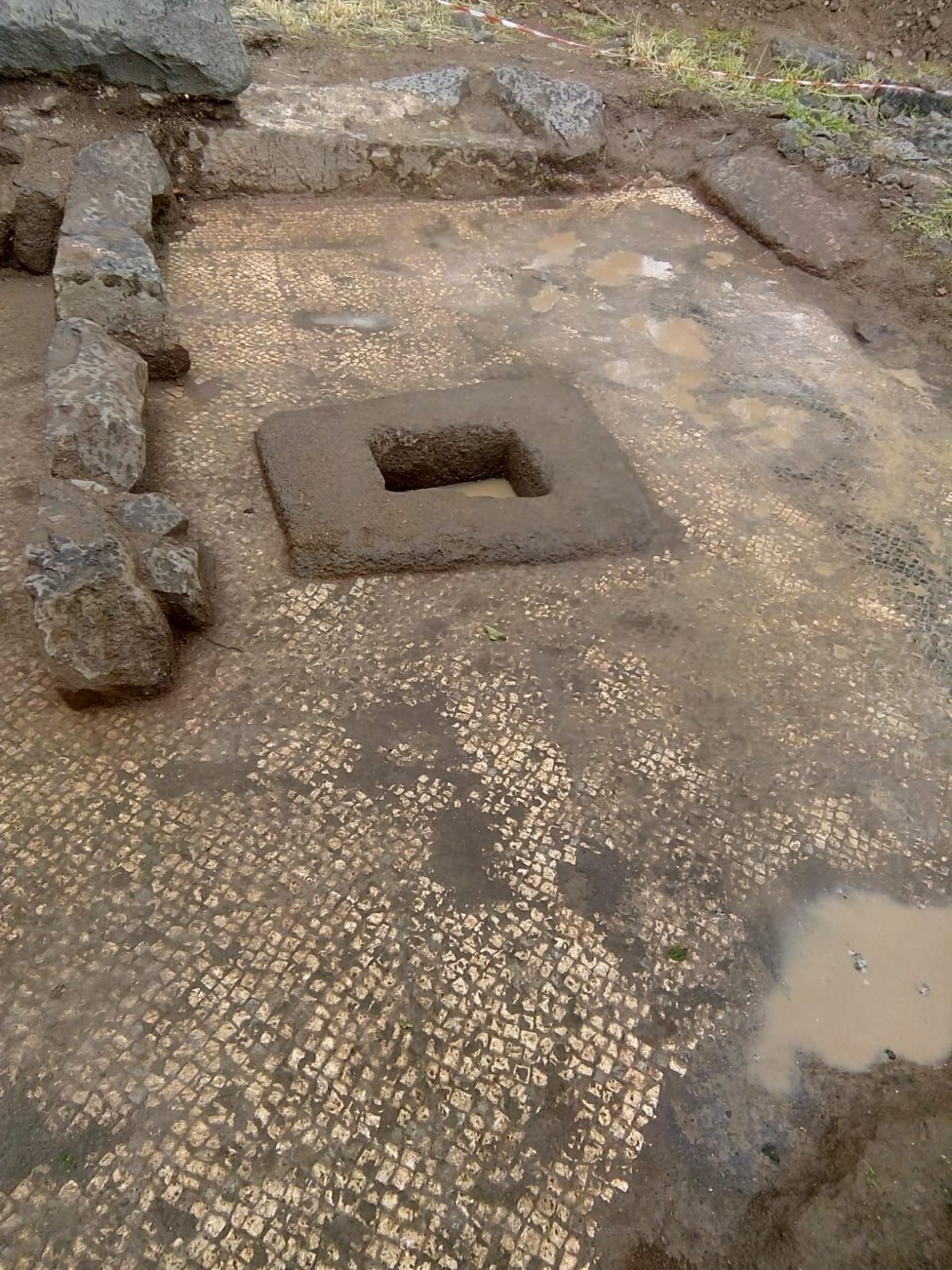 מרהיב: גת מעוטרת ברצפת פסיפס התגלתה בצפון