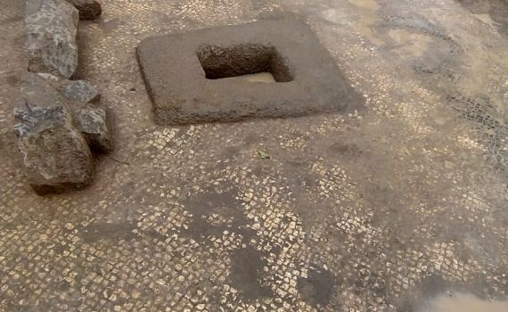 מרהיב: גת מעוטרת ברצפת פסיפס התגלתה בצפון