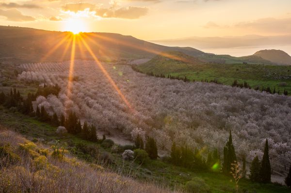 מזג האוויר: היום ומחר עוד גשם; מיום רביעי מתחמם