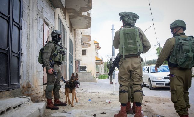  דיווח פלסטיני: המחבל נתפס. צה"ל: זה מחבל אחר