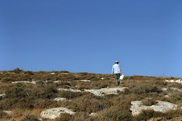 זעזוע בשומרון: צעירה דתיה חיה עם ערבי בגבעה