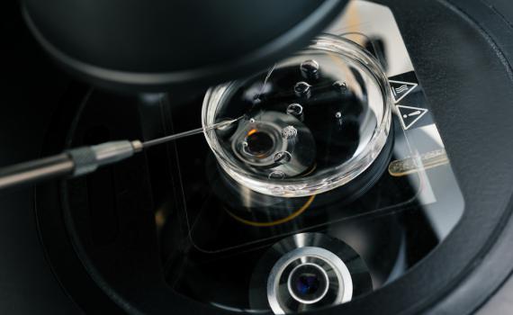 השגחה בטיפולי פוריות – מאמר תגובה לפוע"ה