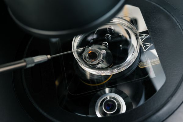 השגחה בטיפולי פוריות – מאמר תגובה לפוע"ה