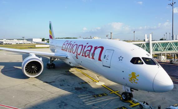 אסון באתיופיה: 2 ישראלים נהרגו בהתרסקות המטוס