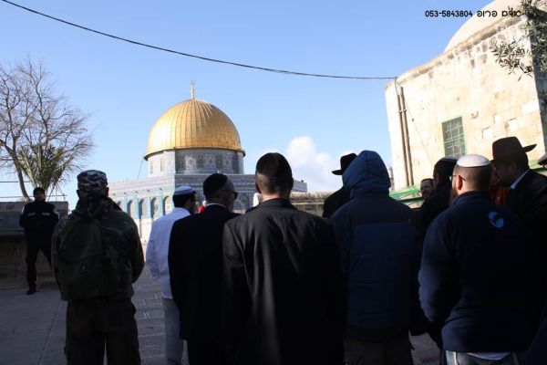 בכפוף להערכת מצב: תתכן כניסת יהודים להר הבית בט' באב