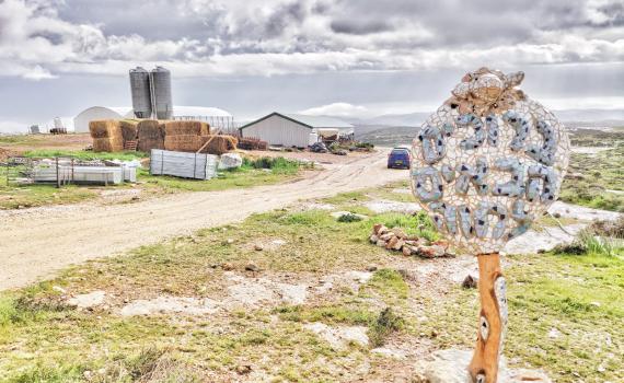 אז איפה אתם מטיילים ביום הבחירות?