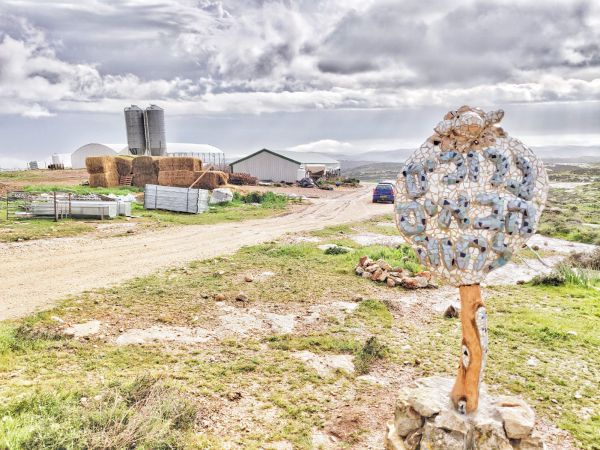 אז איפה אתם מטיילים ביום הבחירות?