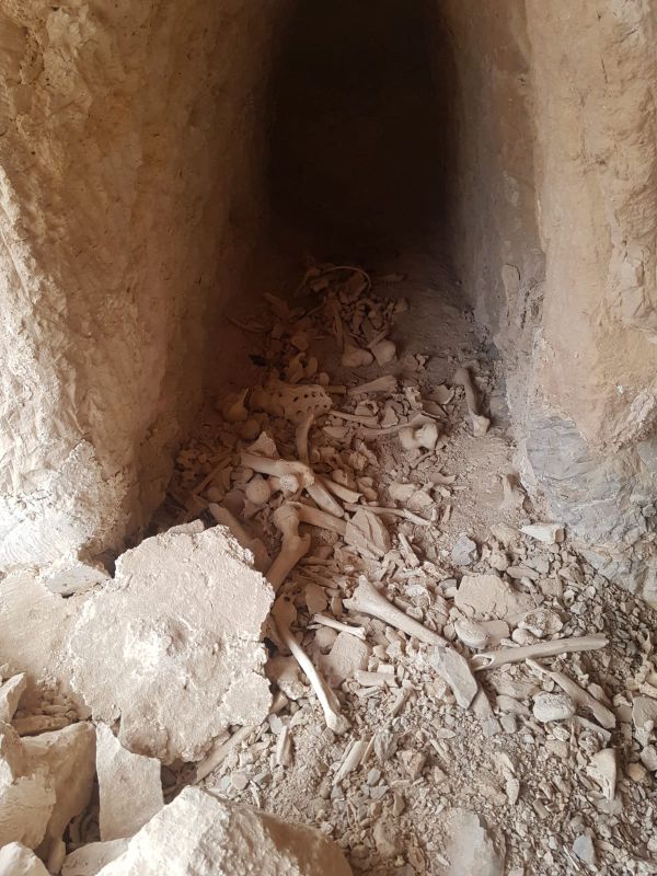 מזעזע: ערבים בזזו מערת קבורה, ופיזרו את העצמות