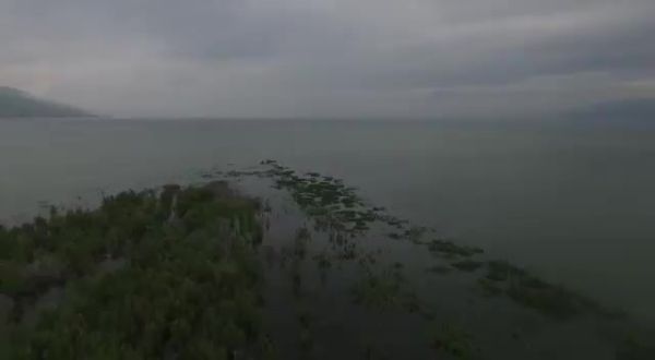 צפו: תיעוד מרהיב של "האי הנעלם" בכנרת