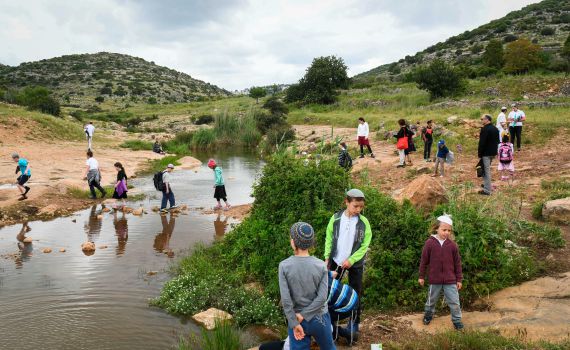 יום חג: 100 אלף איש בשמורות הטבע והגנים