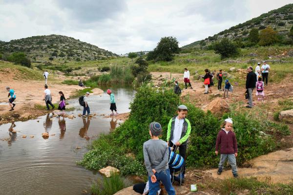 יום חג: 100 אלף איש בשמורות הטבע והגנים