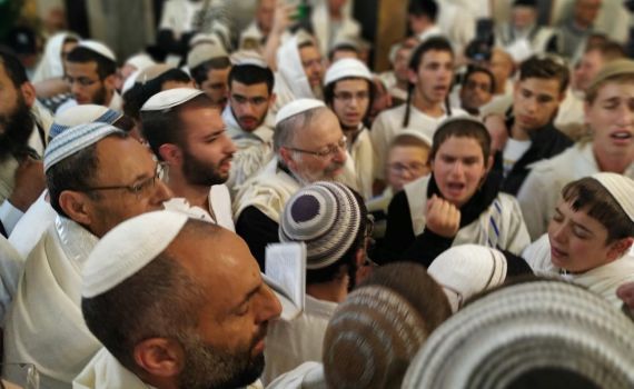 בשירה וריקודים: אלפים בתפילת הלל במערת המכפלה