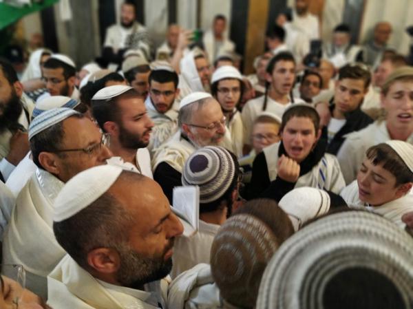 בשירה וריקודים: אלפים בתפילת הלל במערת המכפלה