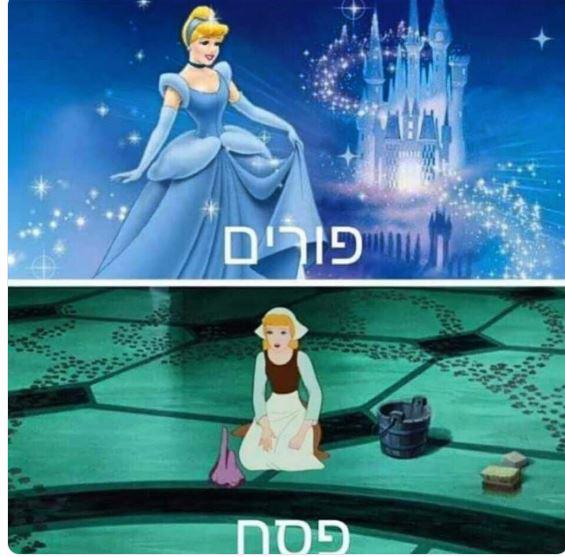 קורע: הרשת נערכת לחג המצות