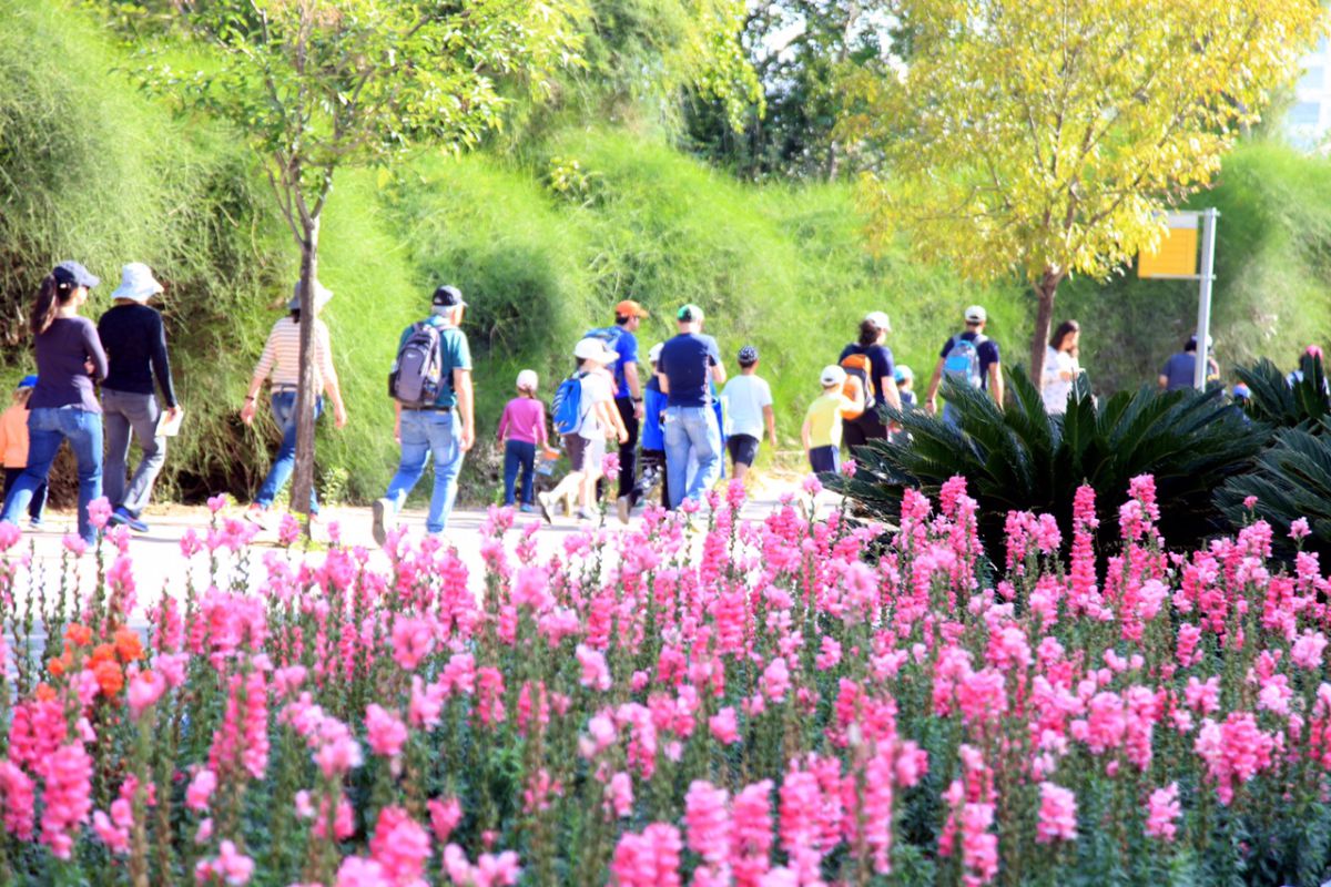 צאו לחגוג: מדריך אירועים ופעילויות לפסח תשע"ט