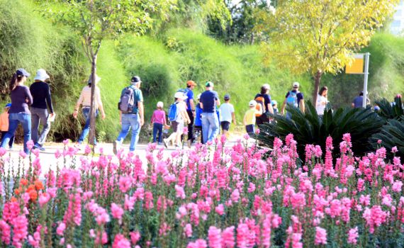 צאו לחגוג: מדריך אירועים ופעילויות לפסח תשע"ט