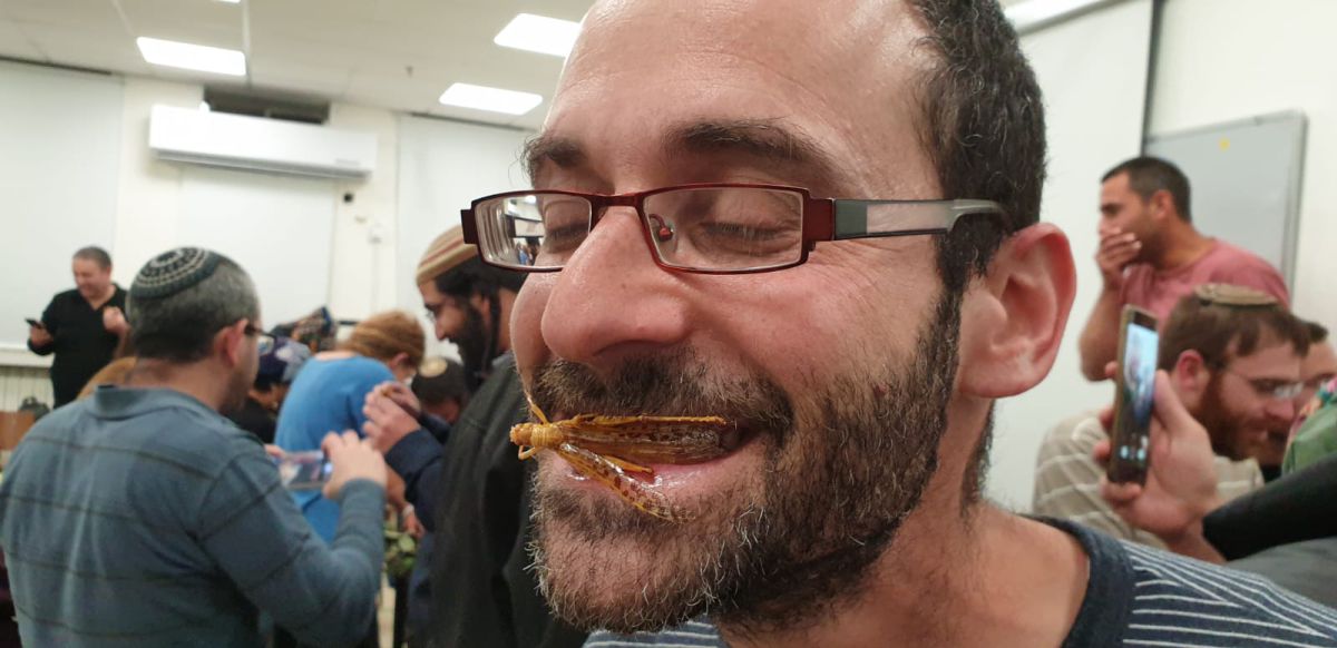 לאמיצים בלבד: חקר כשרות הארבה עם טיגון וטעימה