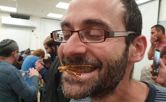 לאמיצים בלבד: חקר כשרות הארבה עם טיגון וטעימה