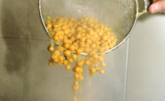 אולי הגיע הזמן לבטל את איסור הקטניות לאשכנזים?