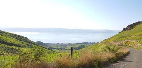 לפני השרב: מפלס הכנרת בעוד עלייה משמעותית