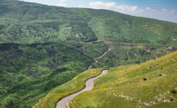 התחממות עם גשם קל; תחזית מזג האוויר המלאה