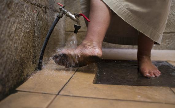 "ישו היה פלסטיני???" מענה לניו-יורק-טיימס