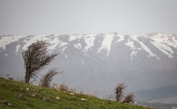 צפו: שלג החל לרדת במג'דל שמס: תחזית לחוה"מ