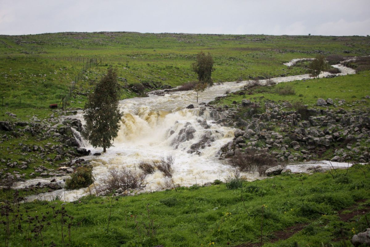 גשמי ברכה: שיא חדש של גשם באיזור המרכז. זה היישוב המפתיע