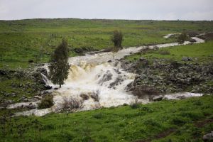 גשמי ברכה: שיא חדש של גשם באיזור המרכז. זה היישוב המפתיע