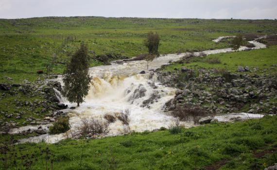 הטמפ' צונחות; רוחות, גשם ורעמים: תחזית מזג אוויר