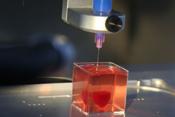 פריצת דרך: חוקרים ישראלים הדפיסו לב חי