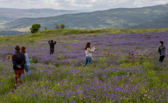 למרות מזג האוויר: עשרות אלפי מטיילים יצאו לטבע