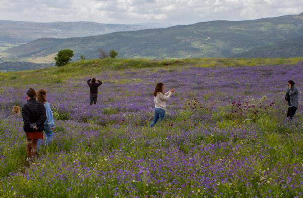 למרות מזג האוויר: עשרות אלפי מטיילים יצאו לטבע