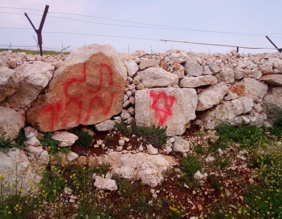 תג מחיר: מאות גפנים הושחתו בכפר פלסטיני