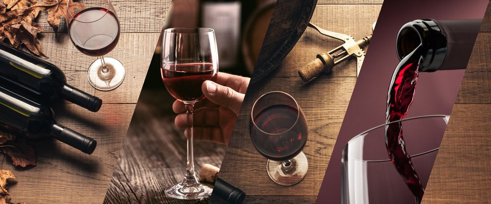 ארבע על ארבע כוסות• המלצות ליינות | חלק א'