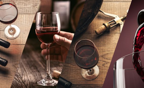 ארבע על ארבע כוסות• המלצות ליינות | חלק א'