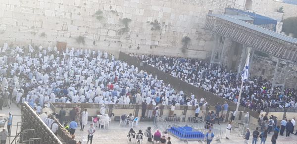 הרימו ידיים? הרפורמיות נטשו את הכותל